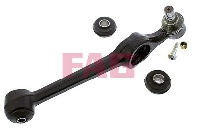 Control/Trailing Arm, wheel suspension Schaeffler FAG 821 0234 10