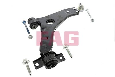 Control/Trailing Arm, wheel suspension Schaeffler FAG 821 0250 10