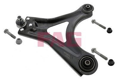 Control/Trailing Arm, wheel suspension Schaeffler FAG 821 0251 10
