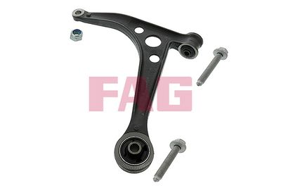 Control/Trailing Arm, wheel suspension Schaeffler FAG 821 0253 10