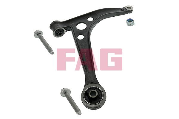 Schaeffler FAG 821 0254 10 Control/Trailing Arm, wheel suspension