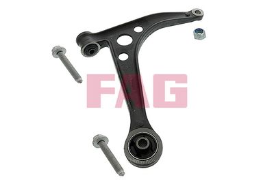 Control/Trailing Arm, wheel suspension Schaeffler FAG 821 0254 10