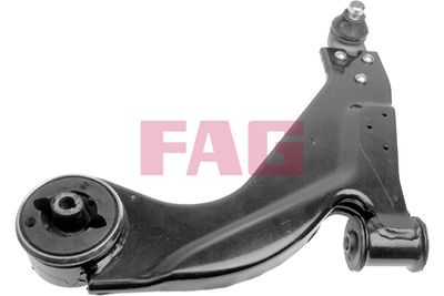 Control/Trailing Arm, wheel suspension Schaeffler FAG 821 0261 10