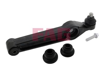 Control/Trailing Arm, wheel suspension Schaeffler FAG 821 0289 10