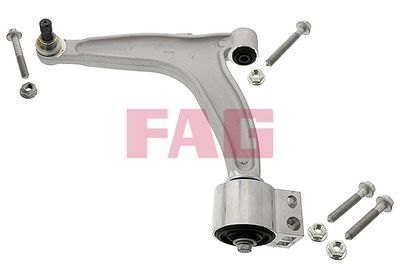 Control/Trailing Arm, wheel suspension Schaeffler FAG 821 0293 10