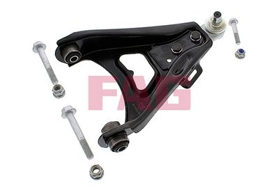 Control/Trailing Arm, wheel suspension Schaeffler FAG 821 0309 10