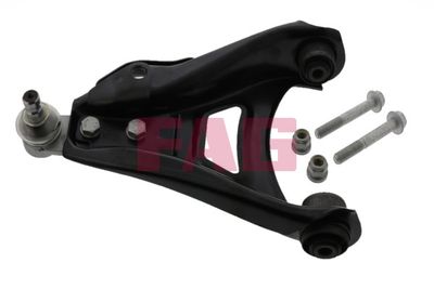 Control/Trailing Arm, wheel suspension Schaeffler FAG 821 0312 10