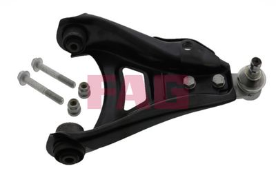 Control/Trailing Arm, wheel suspension Schaeffler FAG 821 0313 10