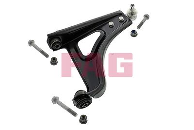 Control/Trailing Arm, wheel suspension Schaeffler FAG 821 0317 10
