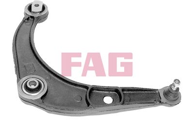 Control/Trailing Arm, wheel suspension Schaeffler FAG 821 0318 10