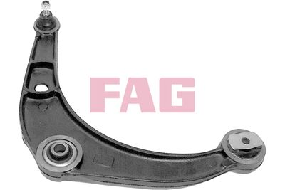 Control/Trailing Arm, wheel suspension Schaeffler FAG 821 0319 10