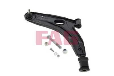 Control/Trailing Arm, wheel suspension Schaeffler FAG 821 0358 10