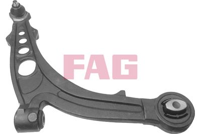 Control/Trailing Arm, wheel suspension Schaeffler FAG 821 0375 10
