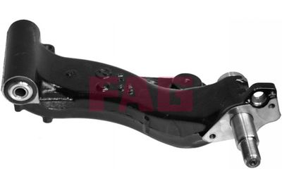 Control/Trailing Arm, wheel suspension Schaeffler FAG 821 0382 10