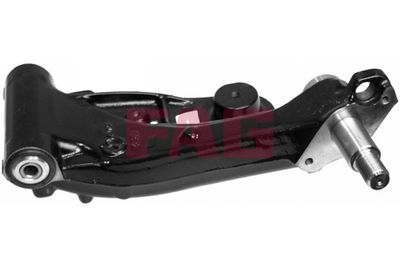 Control/Trailing Arm, wheel suspension Schaeffler FAG 821 0386 10