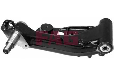 Control/Trailing Arm, wheel suspension Schaeffler FAG 821 0387 10