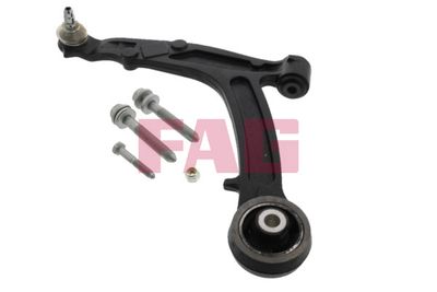 Control/Trailing Arm, wheel suspension Schaeffler FAG 821 0392 10