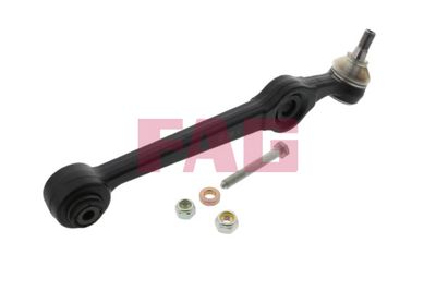 Control/Trailing Arm, wheel suspension Schaeffler FAG 821 0395 10