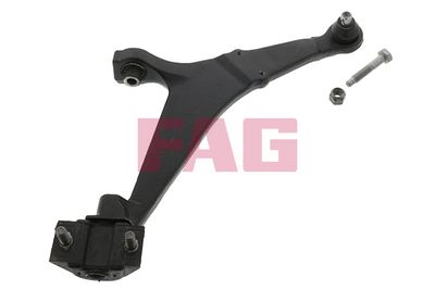 Control/Trailing Arm, wheel suspension Schaeffler FAG 821 0407 10