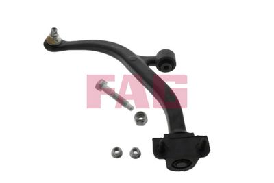 Control/Trailing Arm, wheel suspension Schaeffler FAG 821 0410 10
