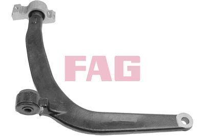 Control/Trailing Arm, wheel suspension Schaeffler FAG 821 0418 10