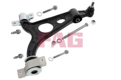 Control/Trailing Arm, wheel suspension Schaeffler FAG 821 0430 10