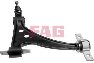 Control/Trailing Arm, wheel suspension Schaeffler FAG 821 0432 10