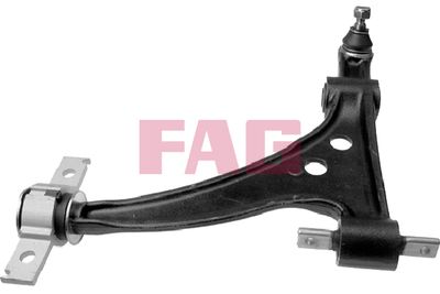 Control/Trailing Arm, wheel suspension Schaeffler FAG 821 0433 10