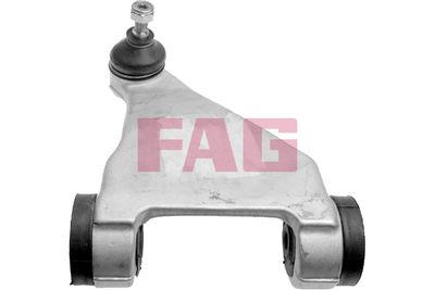 Control/Trailing Arm, wheel suspension Schaeffler FAG 821 0434 10