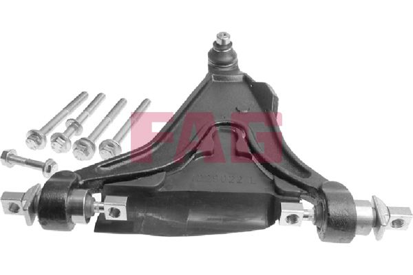 Schaeffler FAG 821 0450 10 Control/Trailing Arm, wheel suspension