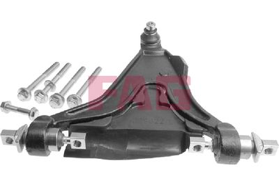 Control/Trailing Arm, wheel suspension Schaeffler FAG 821 0450 10