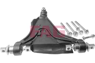Control/Trailing Arm, wheel suspension Schaeffler FAG 821 0451 10