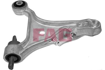 Control/Trailing Arm, wheel suspension Schaeffler FAG 821 0455 10