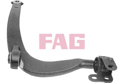 Control/Trailing Arm, wheel suspension Schaeffler FAG 821 0460 10
