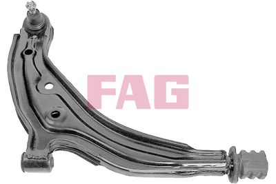 Control/Trailing Arm, wheel suspension Schaeffler FAG 821 0475 10