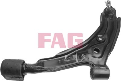 Control/Trailing Arm, wheel suspension Schaeffler FAG 821 0485 10