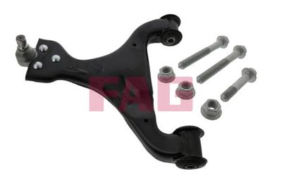 Control/Trailing Arm, wheel suspension Schaeffler FAG 821 0572 10