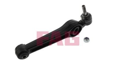 Control/Trailing Arm, wheel suspension Schaeffler FAG 821 0583 10