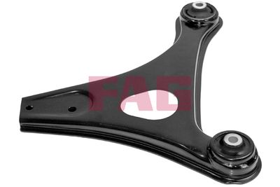 Control/Trailing Arm, wheel suspension Schaeffler FAG 821 0601 10