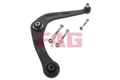 Control/Trailing Arm, wheel suspension Schaeffler FAG 821 0613 10