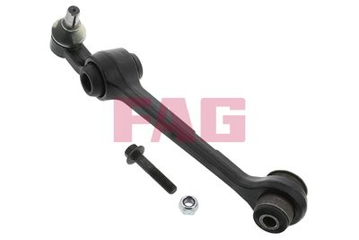 Control/Trailing Arm, wheel suspension Schaeffler FAG 821 0618 10