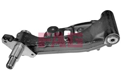Control/Trailing Arm, wheel suspension Schaeffler FAG 821 0630 10