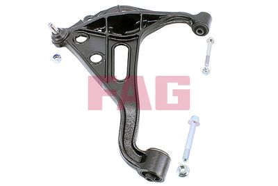 Control/Trailing Arm, wheel suspension Schaeffler FAG 821 0647 10