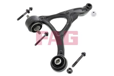 Control/Trailing Arm, wheel suspension Schaeffler FAG 821 0667 10