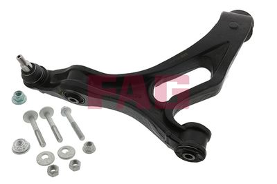 Control/Trailing Arm, wheel suspension Schaeffler FAG 821 0668 10