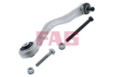 Control/Trailing Arm, wheel suspension Schaeffler FAG 821 0669 10