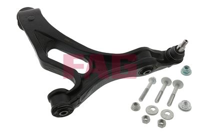 Control/Trailing Arm, wheel suspension Schaeffler FAG 821 0670 10