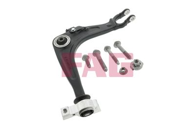 Control/Trailing Arm, wheel suspension Schaeffler FAG 821 0673 10