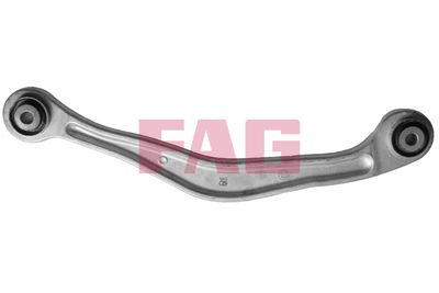 Control/Trailing Arm, wheel suspension Schaeffler FAG 821 0698 10
