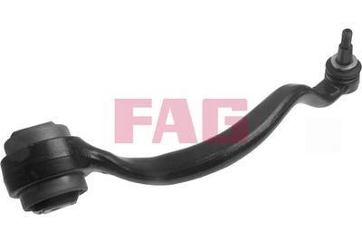 Control/Trailing Arm, wheel suspension Schaeffler FAG 821 0750 10